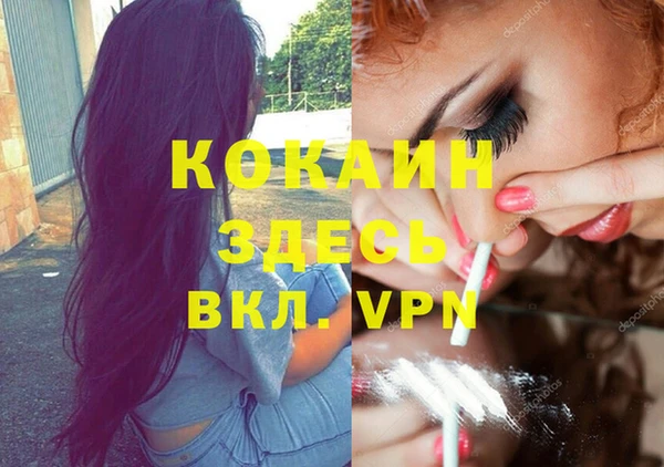 крисы Алексеевка