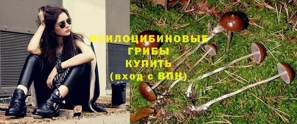 крисы Алексеевка