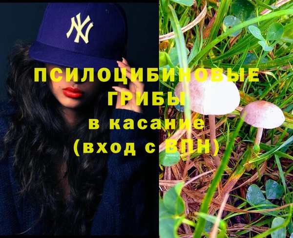 крисы Алексеевка