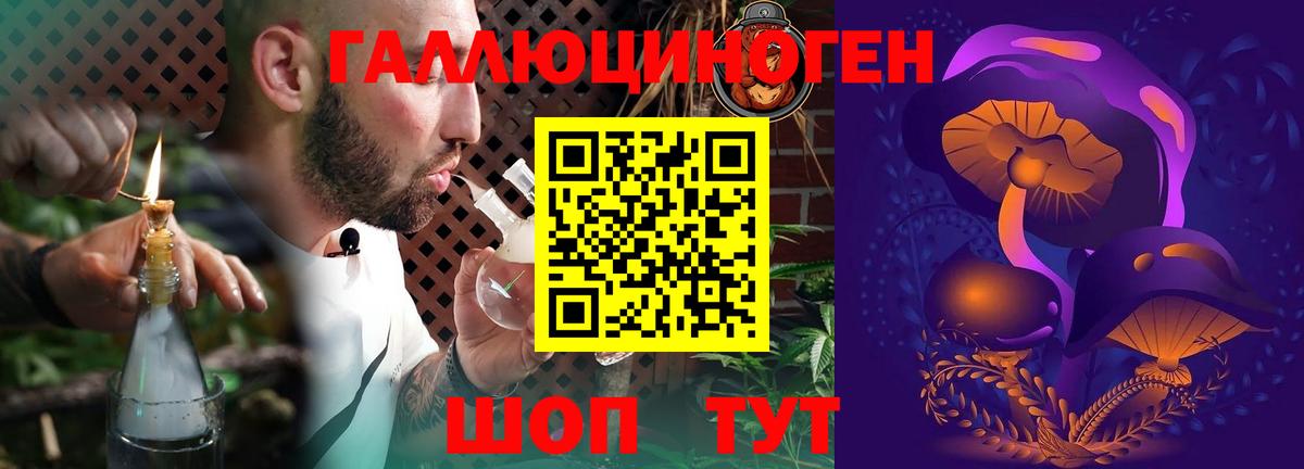 Псилоцибиновые грибы мицелий  Вход с VPN  продажа наркотиков  Псилоцибиновые грибы ЛСД  Астрахань 